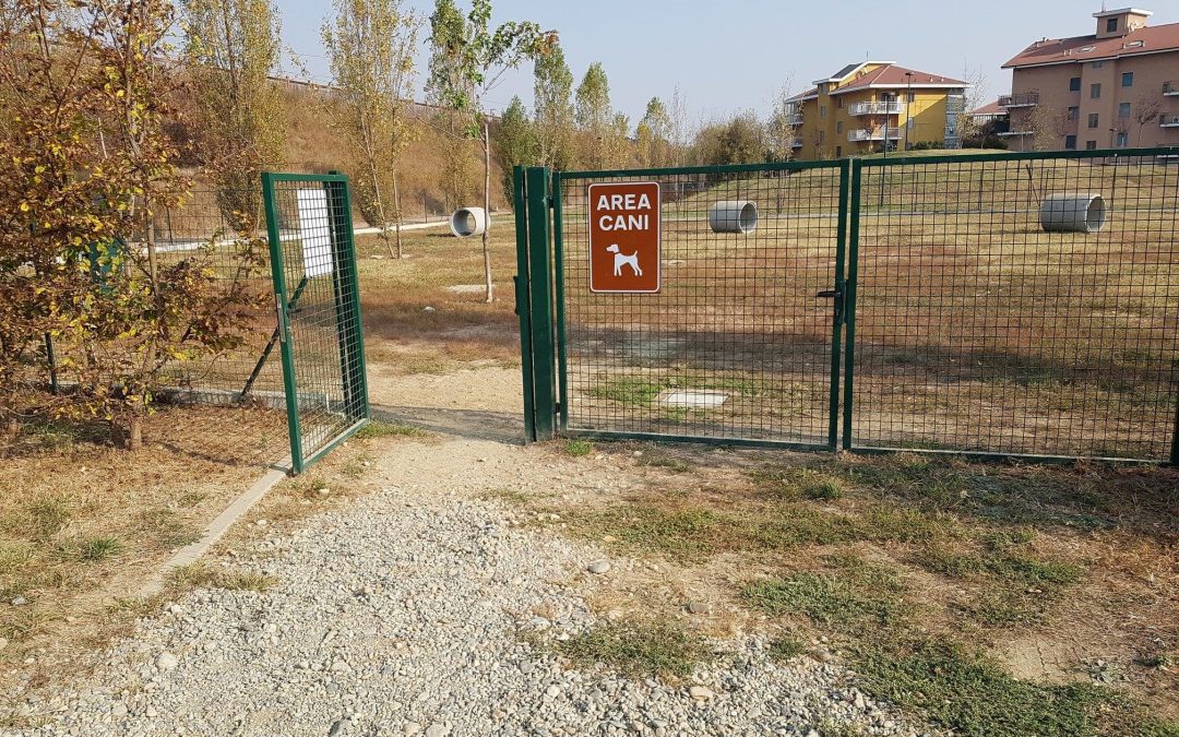 L’area cani, regole per un buon utilizzo