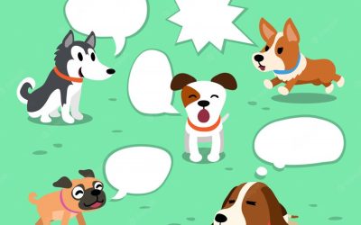 Comunicazione tra cani: impariamo insieme i fondamentali dei segnali calmanti