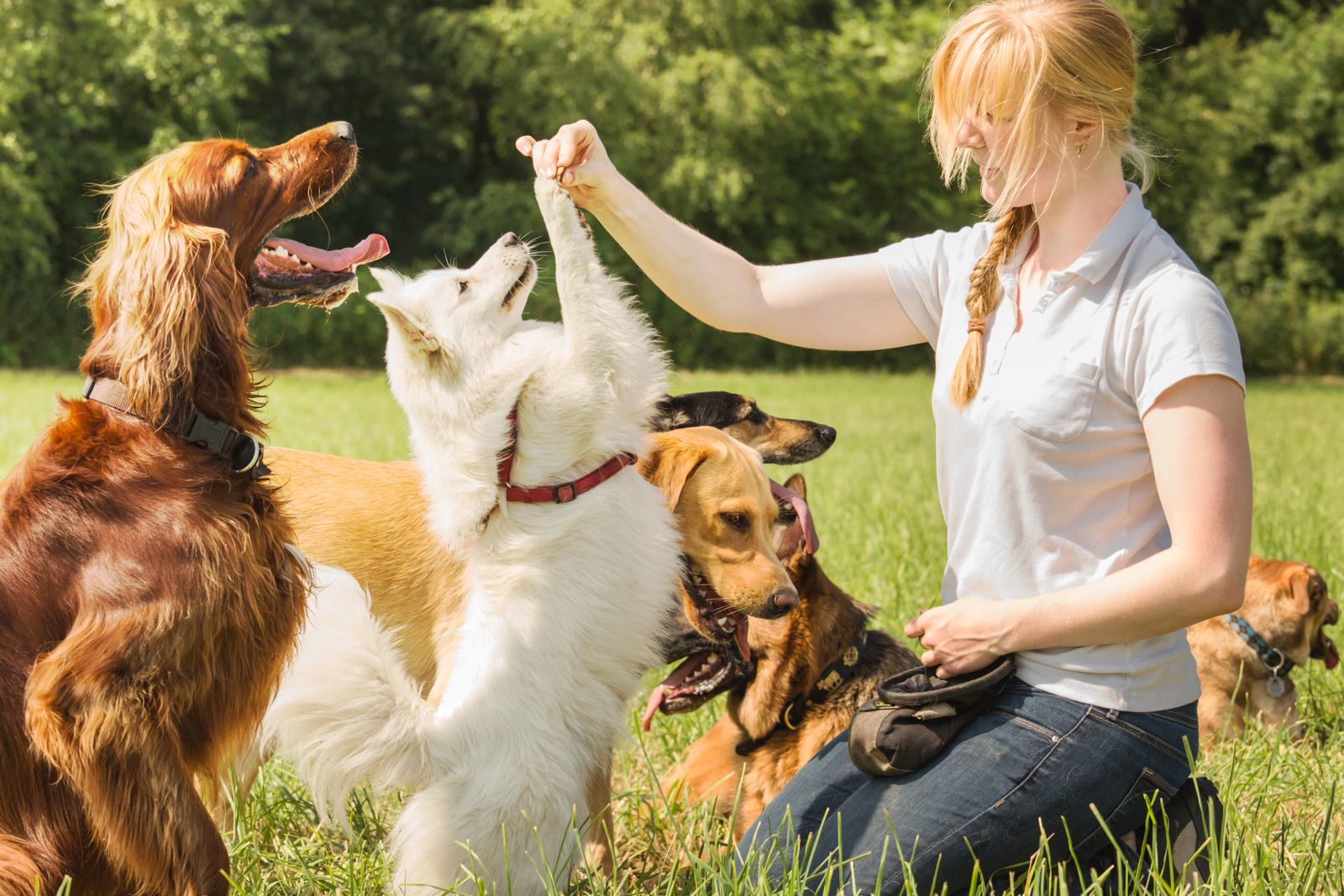 custodia giornaliera PlayDog