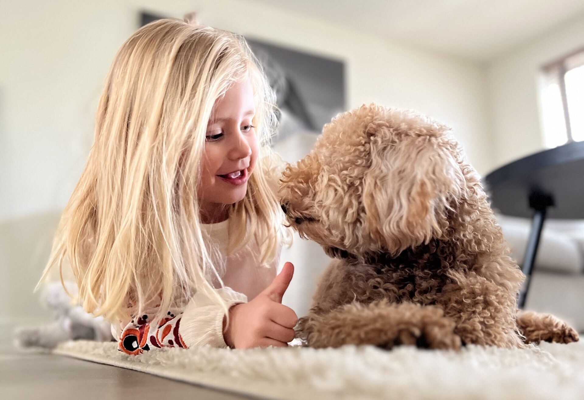 5 Errori Cuccioli Educazione PlayDog