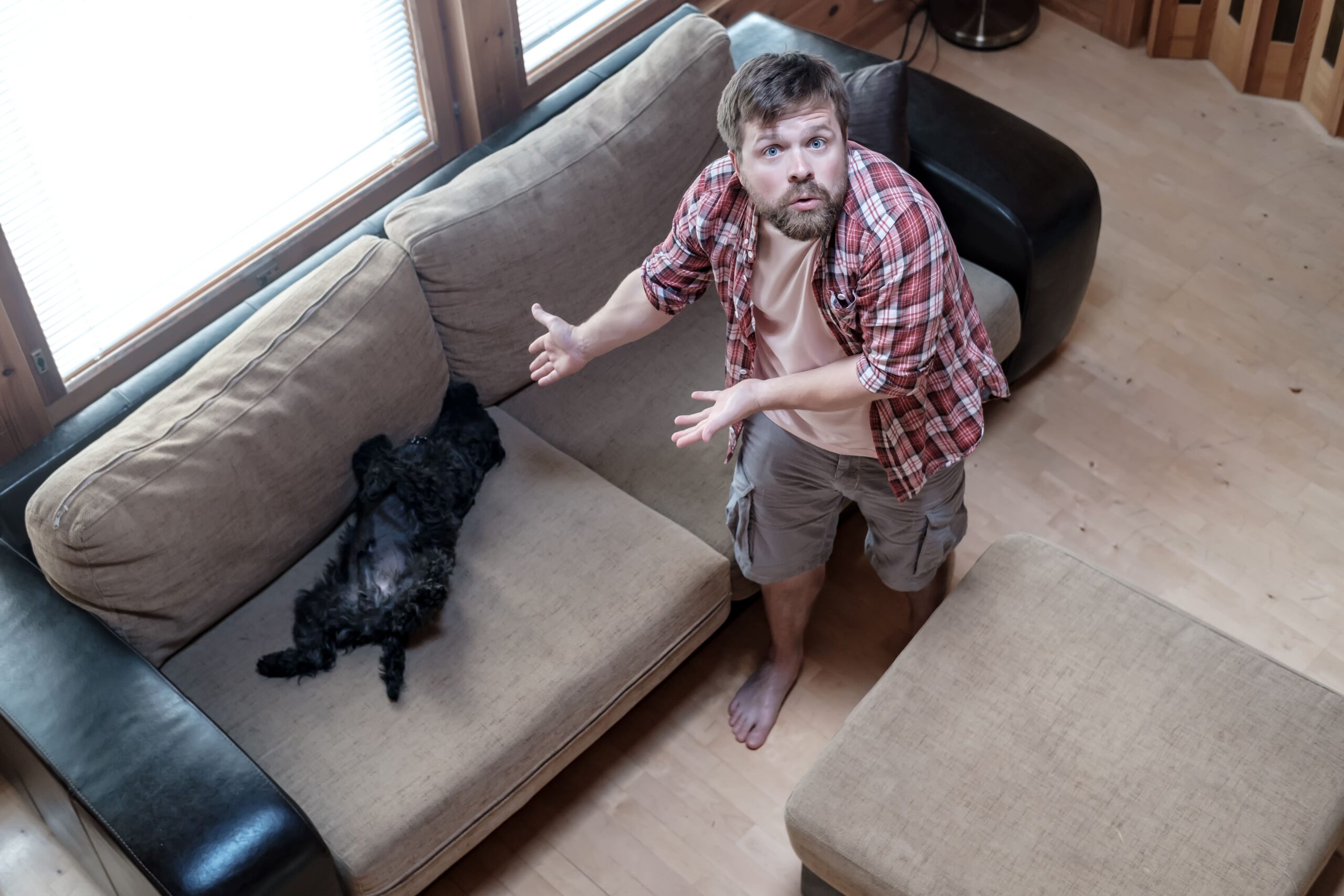 Il cane come specchio nella vita di tutti i giorni PlayDog