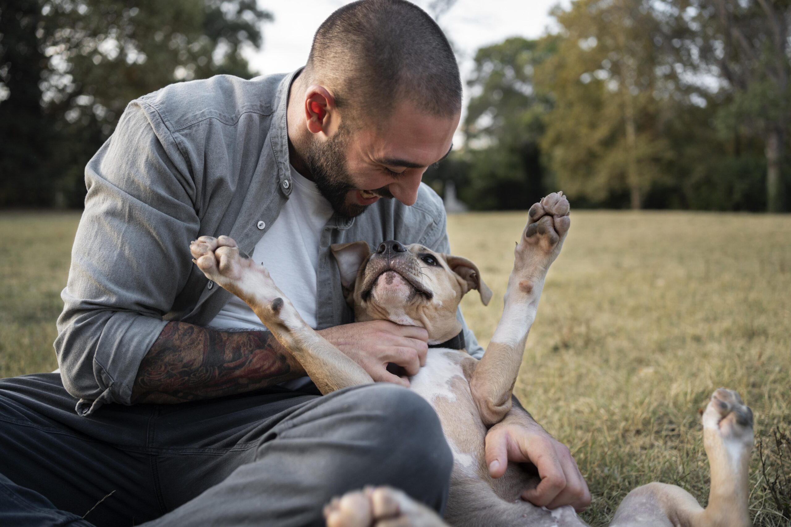 problemi comportamentali cane PlayDog