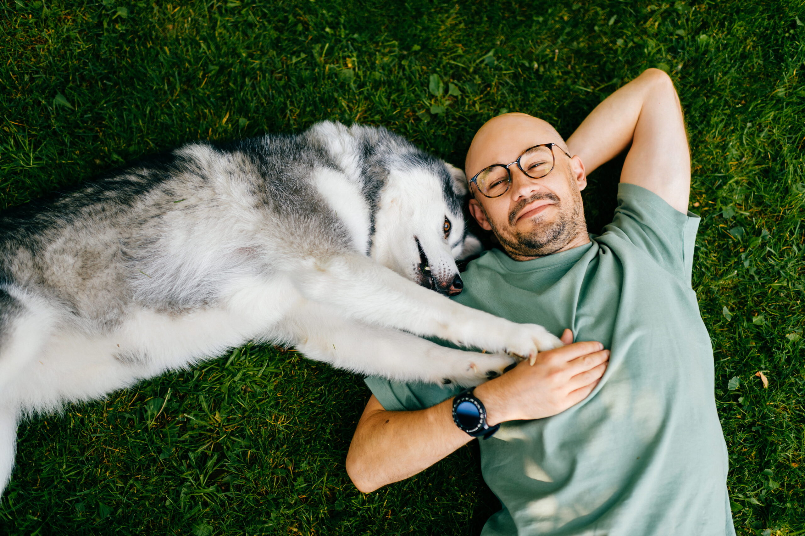 Recupero Comportamentale del cane guida completa | PlayDog